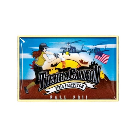 Simba 1 x 0.5 in. Rectangle Vibraprint Lapel Pin EXPRESS-SP10